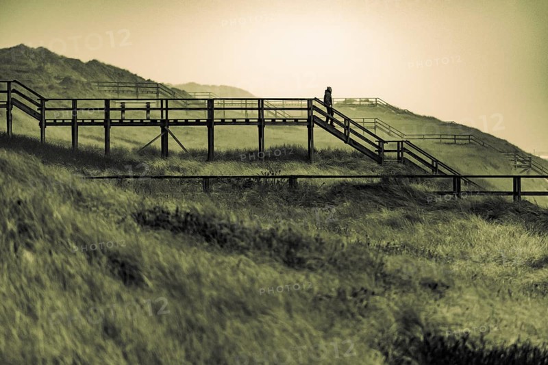 Footbridge with walker in dune landscape