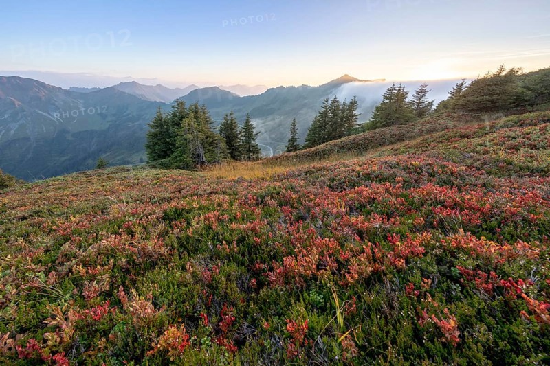 Fog in the high valley on an autumn evening at Potlakopf