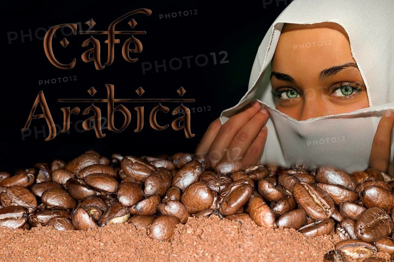 Coffee beans of the Arabica variety lying on ground coffee