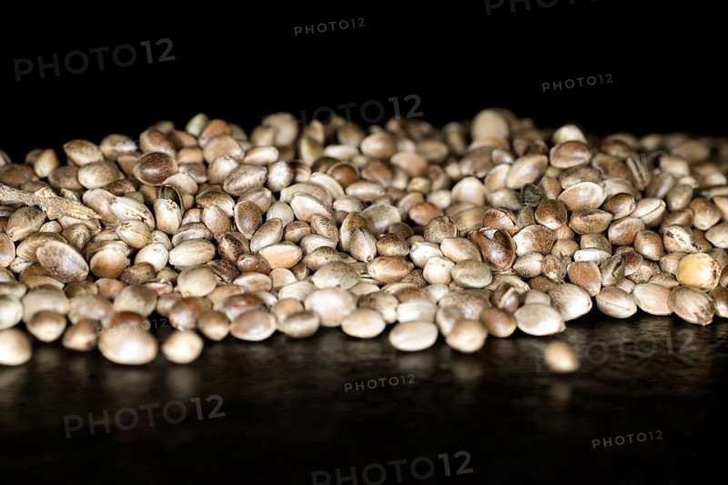 Hemp
