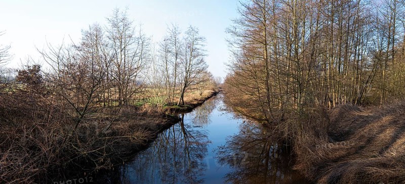 Mittelradde