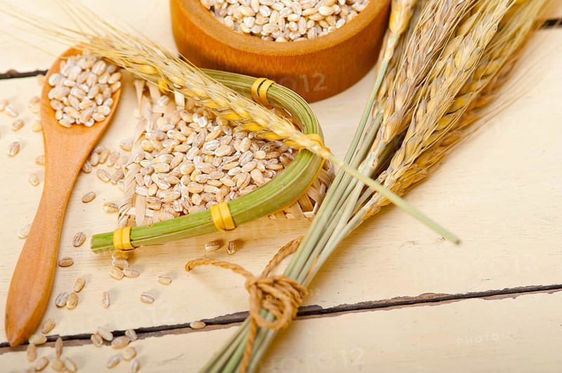 Organic wheat grains over rustic wood table macro closeup