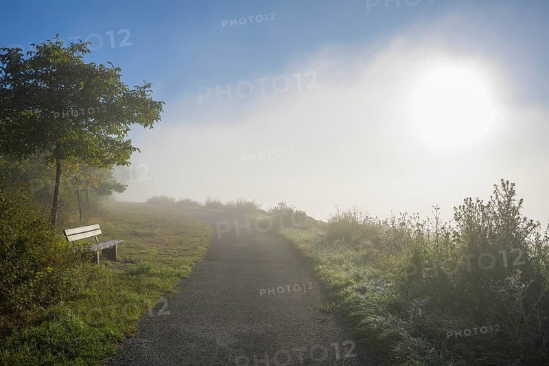 Path with bench and fog in autumn
