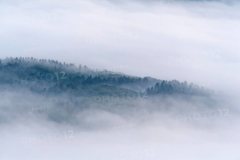 View from Katzenbuckel mountain with morning mist