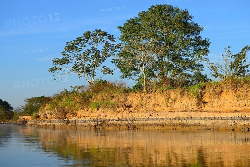 Bank reflected in the water of the Rio Sao Lourenco