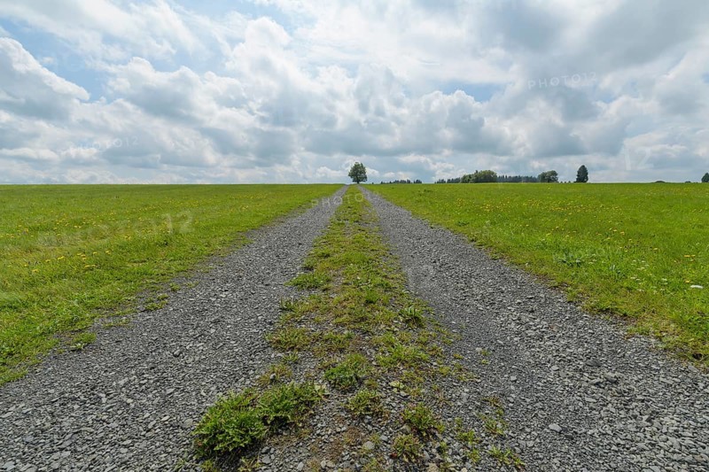 Dirt road in landscape
