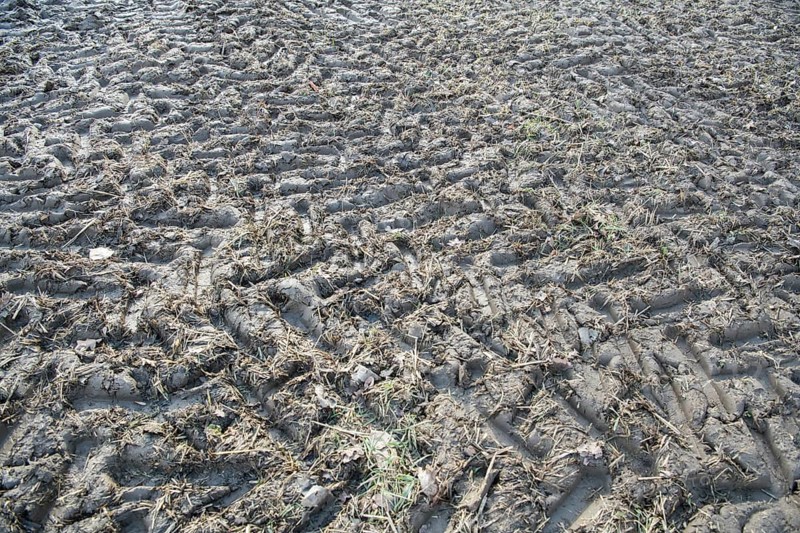 Soil compaction in the field