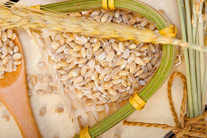 Organic barley grains over rustic wood table macro closeup