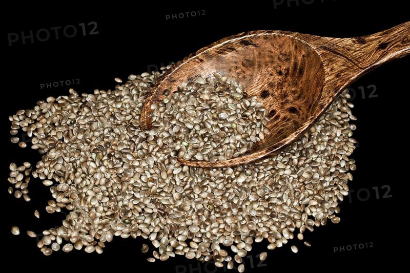 Hemp