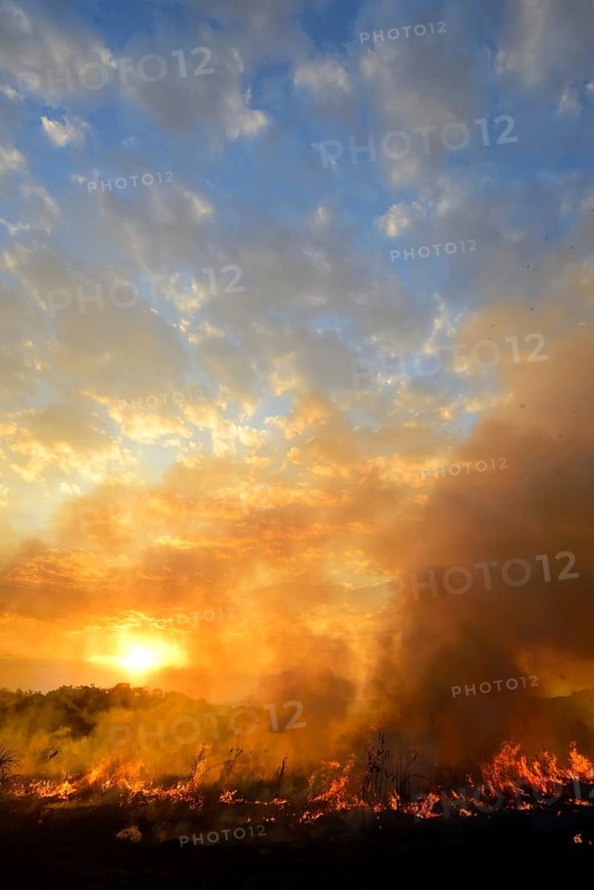 Burning vegetaition in a bushfire at sunset
