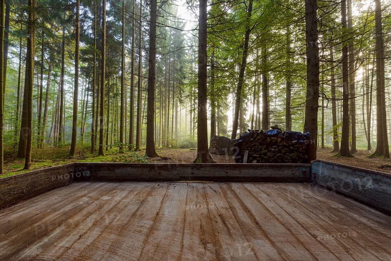 Wooden trailer loading in the forest