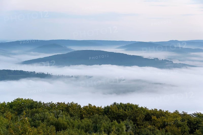 View from Katzenbuckel mountain with morning mist