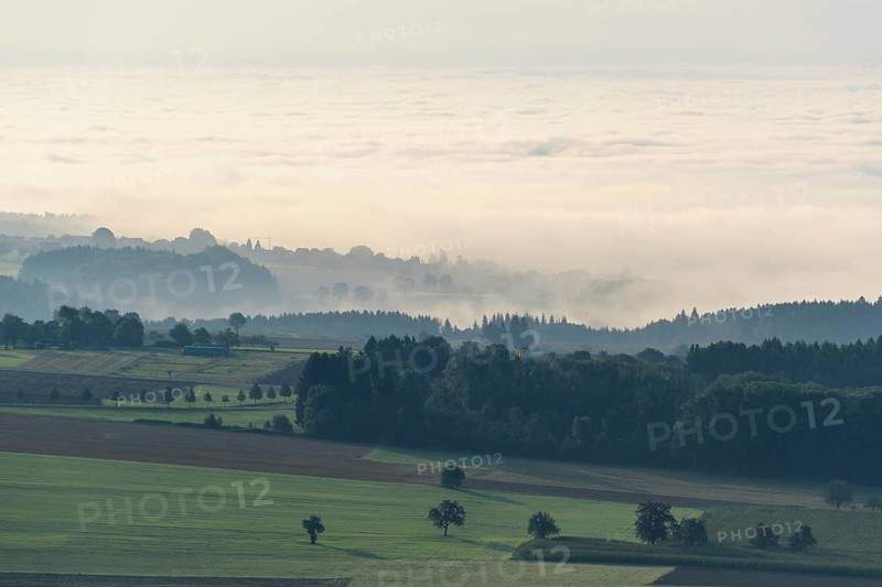 View from Katzenbuckel mountain with morning mist