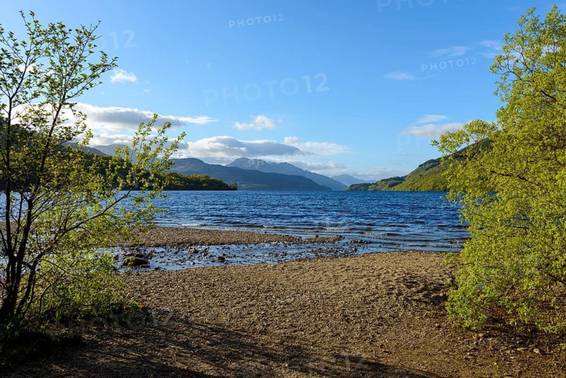 Lake shore in the spring