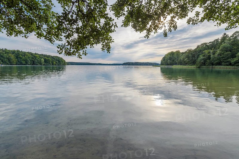 Lakeside in summer
