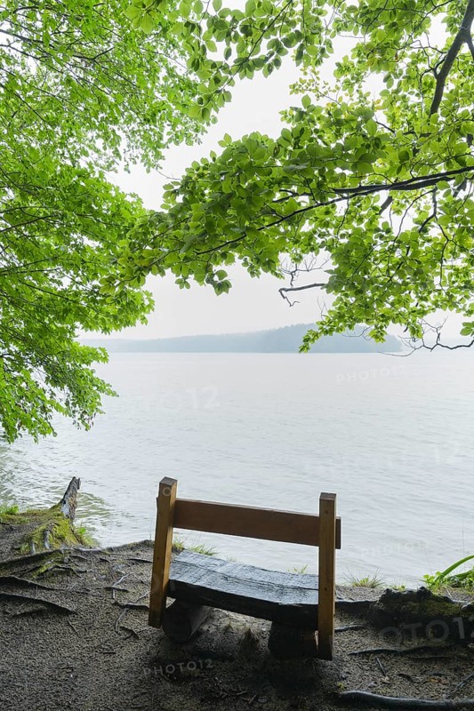 Bench on lake in the morning