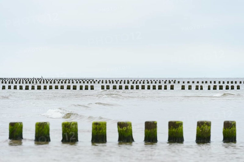 Breakwater in the sea