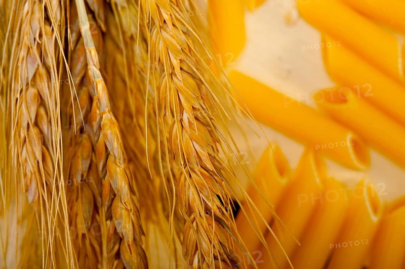 Short Italian pasta penne with durum wheat grains