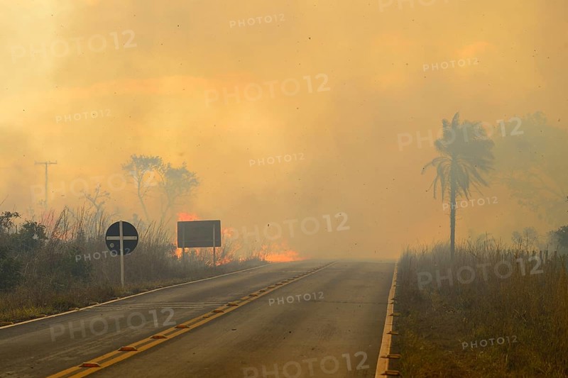 Bushfire on the main road 251 through the national park