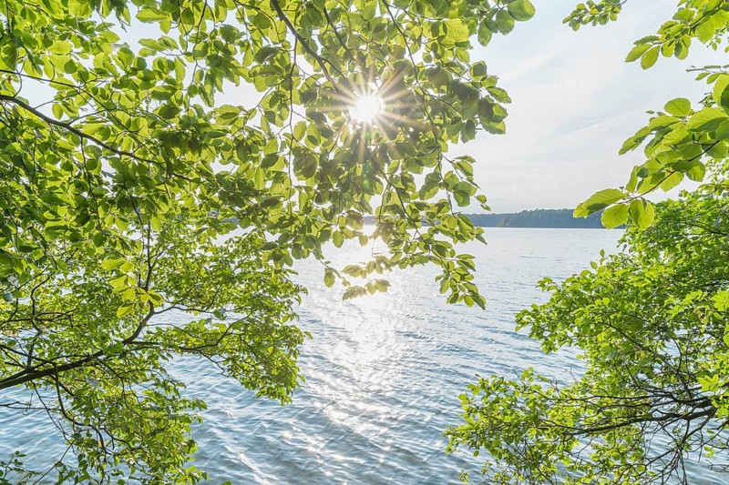 Lakeside in summer
