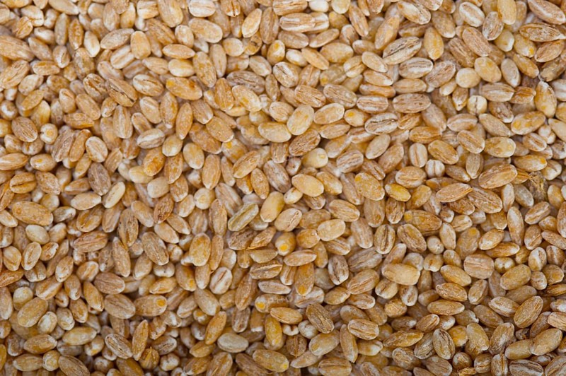 Organic barley grains over rustic wood table macro closeup