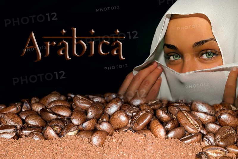 Coffee beans of the Arabica variety lying on ground coffee