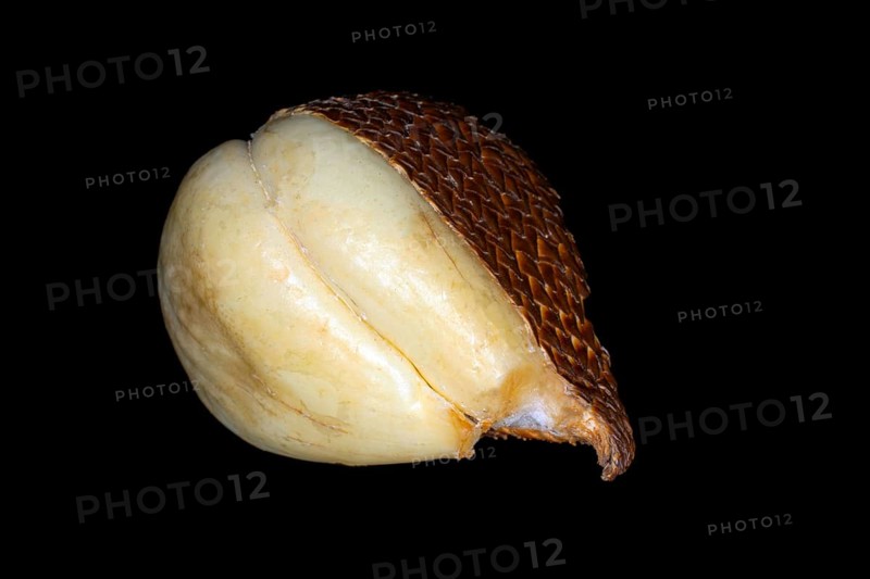 Salak