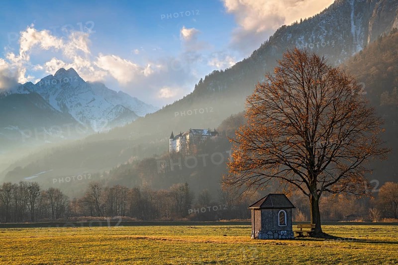 Small chapel under a tree