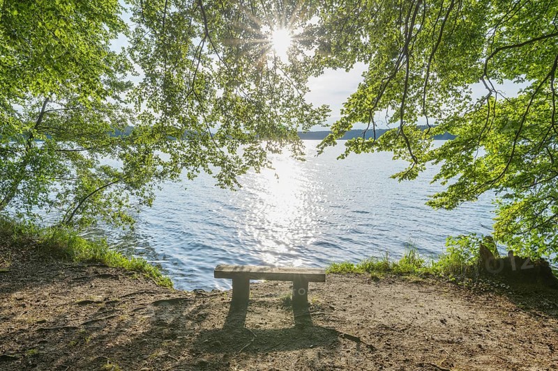 Bench on lake with sun