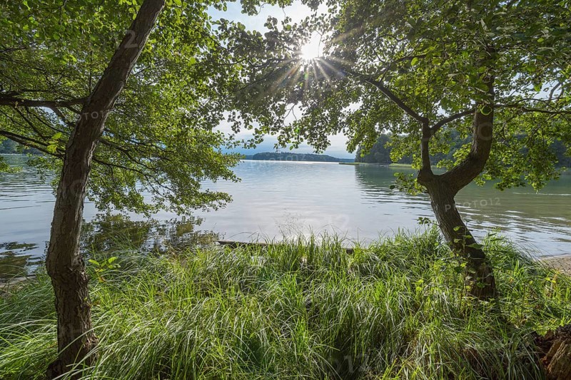 Lakeside in summer