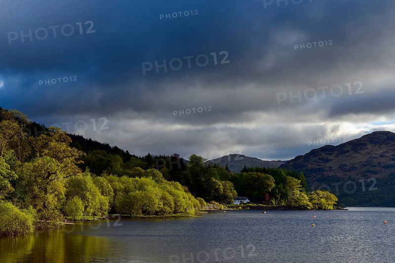 Lake shore in the spring