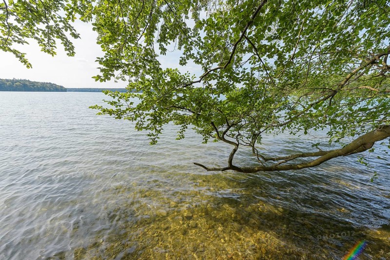 Lakeside in summer