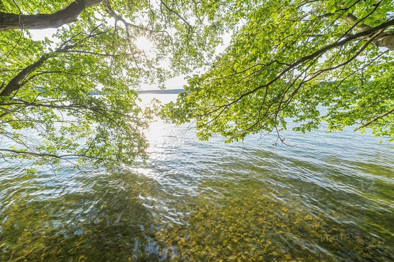 Lakeside in summer