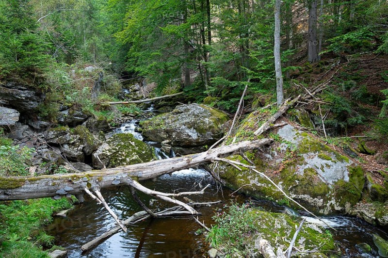 Stone Gorge