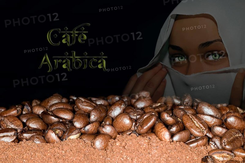 Coffee beans of the Arabica variety lying on ground coffee