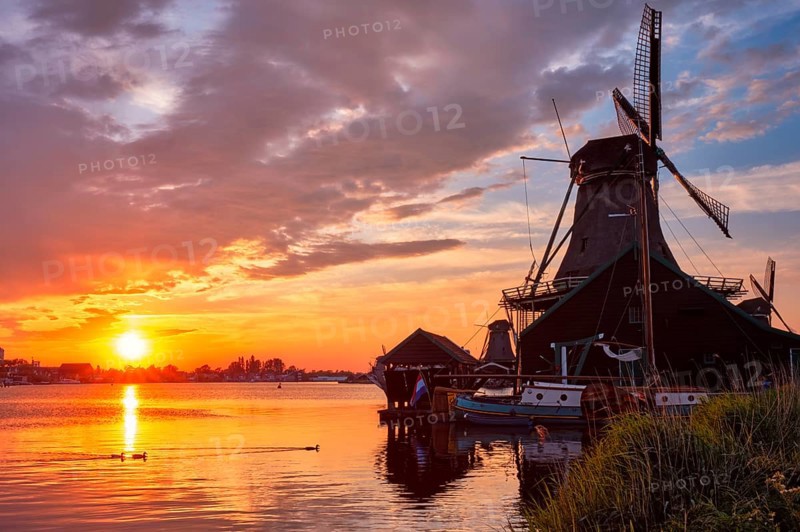 Netherlands rural scene