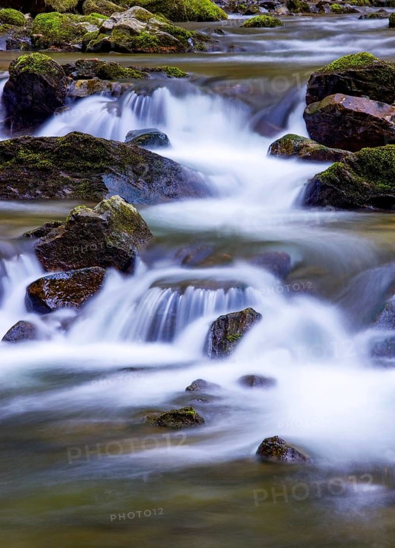 Mountain stream flows over moss-covered stones
