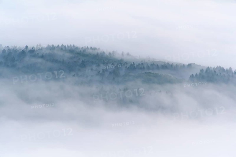 View from Katzenbuckel mountain with morning mist