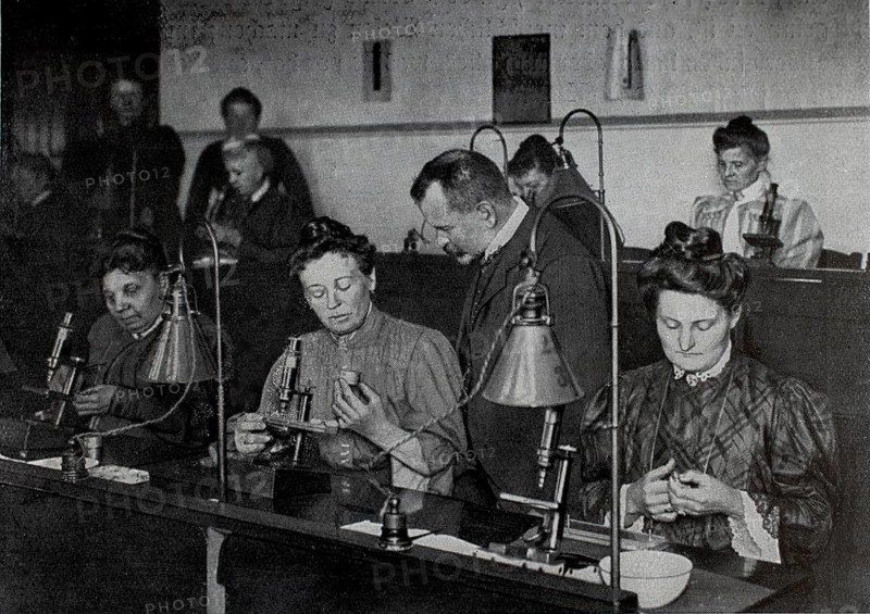Women at a meat inspection with a microscope