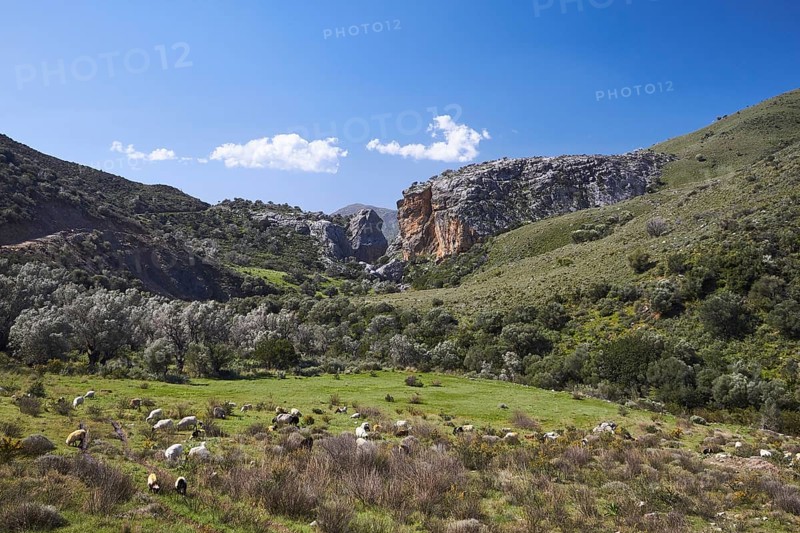 Spring in Crete