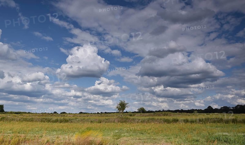 Former sewage field and blue sky with clouds in Gatow