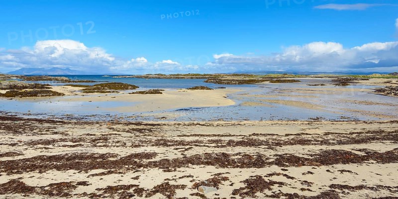 Scottish coast with beach in spring