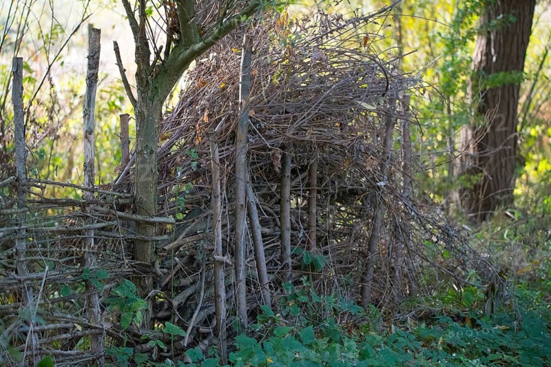 Deadwood hedge in the nature garden