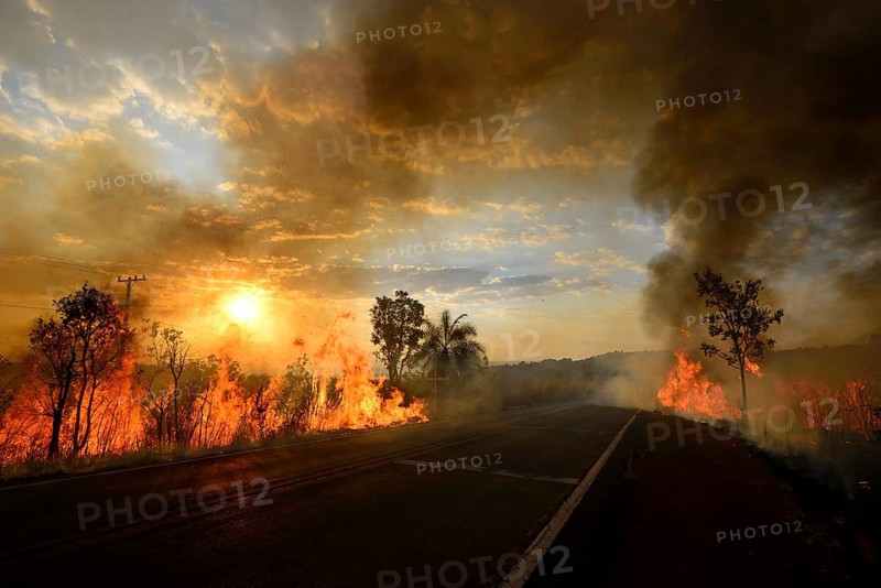 Bushfire on the main road 251 at sunset