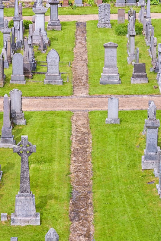 Grave plants on cemetery