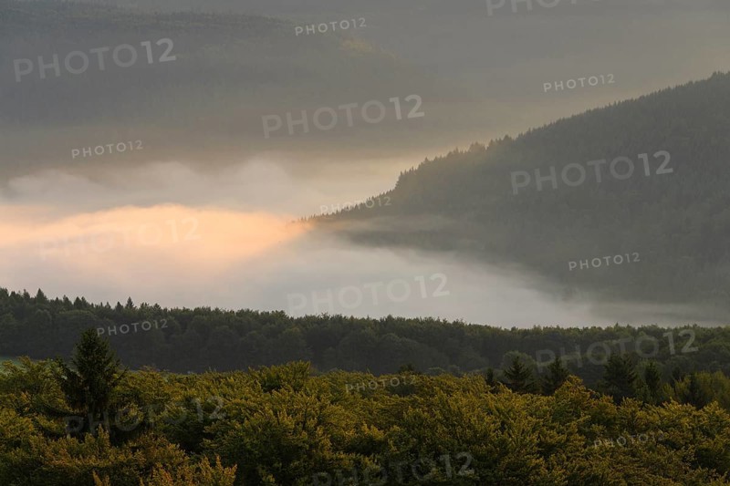 View from Katzenbuckel mountain with morning mist