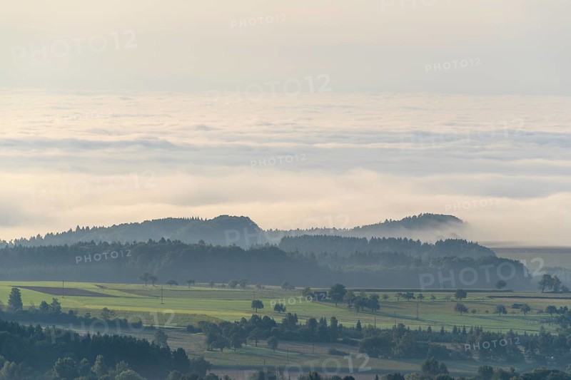 View from Katzenbuckel mountain with morning mist