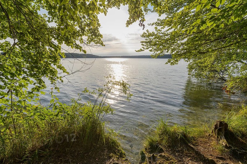 Lakeside in summer