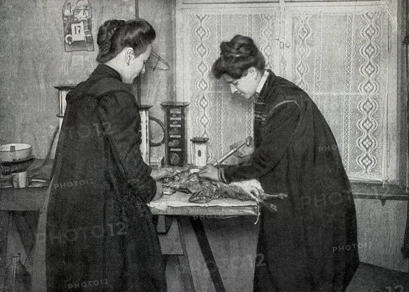 Two women paeperieren a dead animal