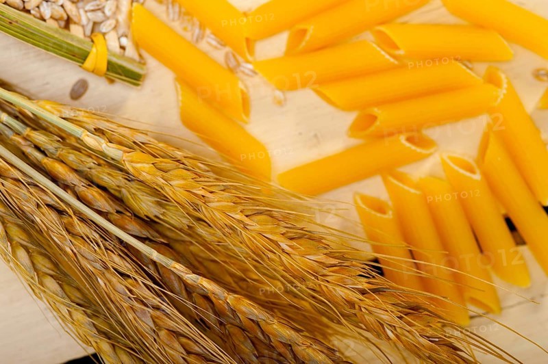 Short Italian pasta penne with durum wheat grains